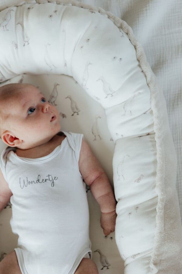 Babynestje goose - Afbeelding 7